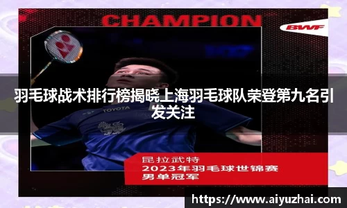 羽毛球战术排行榜揭晓上海羽毛球队荣登第九名引发关注