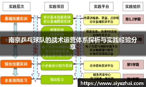 南京乒乓球队的战术运营体系探析与实践经验分享